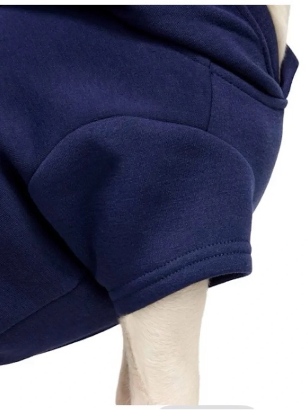 Youly Mama's Boy Navy Dog Hoodie